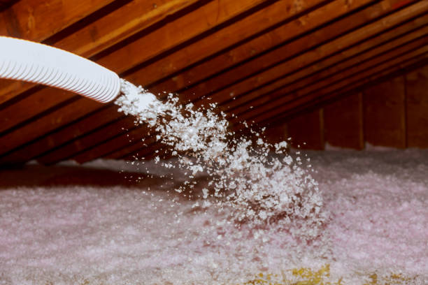 Best Insulation Installation Services in Gueydan, LA
